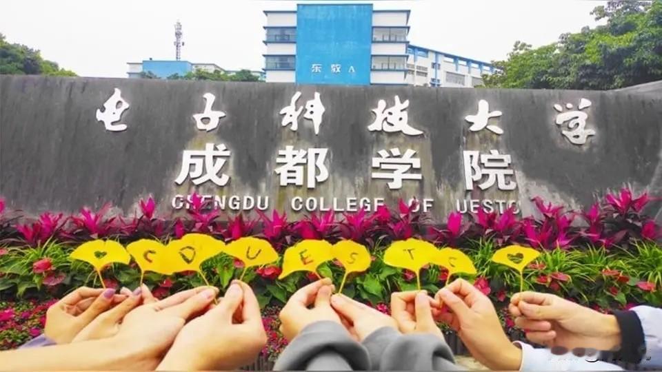 “真是愁死了！”一位家长在社交平台发文倾诉：儿子2018年从成都电子科技大学毕业