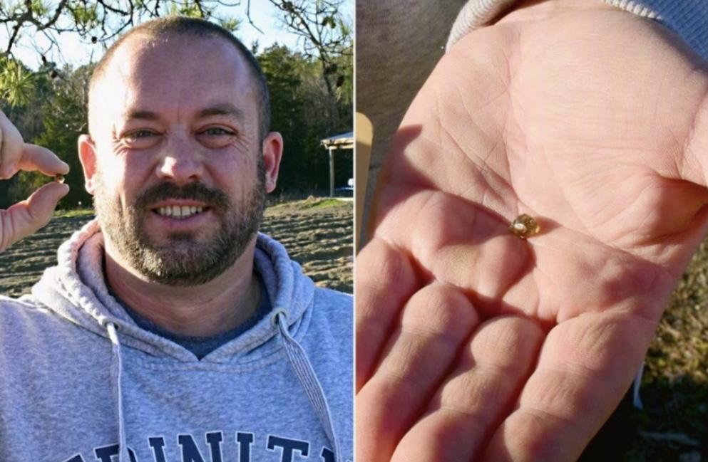 最近美国有个事儿特别火，一个普通家庭听从Siri的建议，真在州立公园挖出了2.0