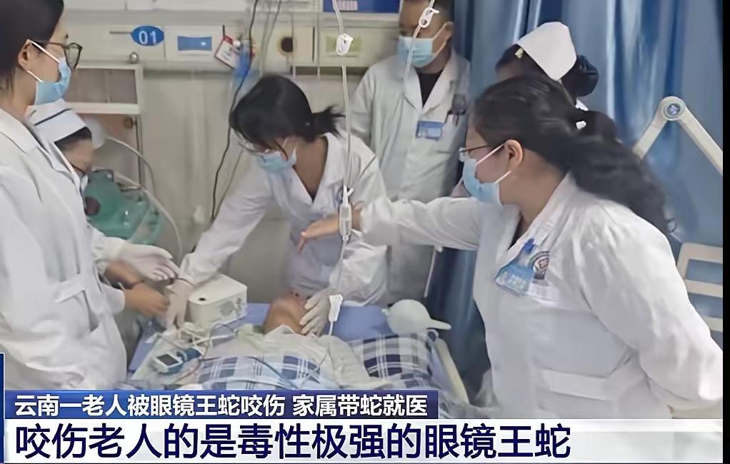 ​据8月23日，央视报道，云南临沧，78岁老人散步时，发现一条大蛇被气车碾压，担