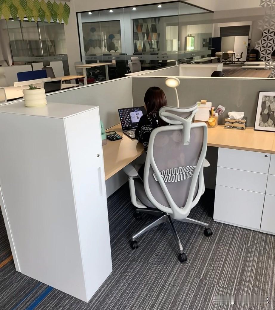 公司研发新招来一个专业对口的985硕士，作为公司的重点培养对象，和研发副总请示后