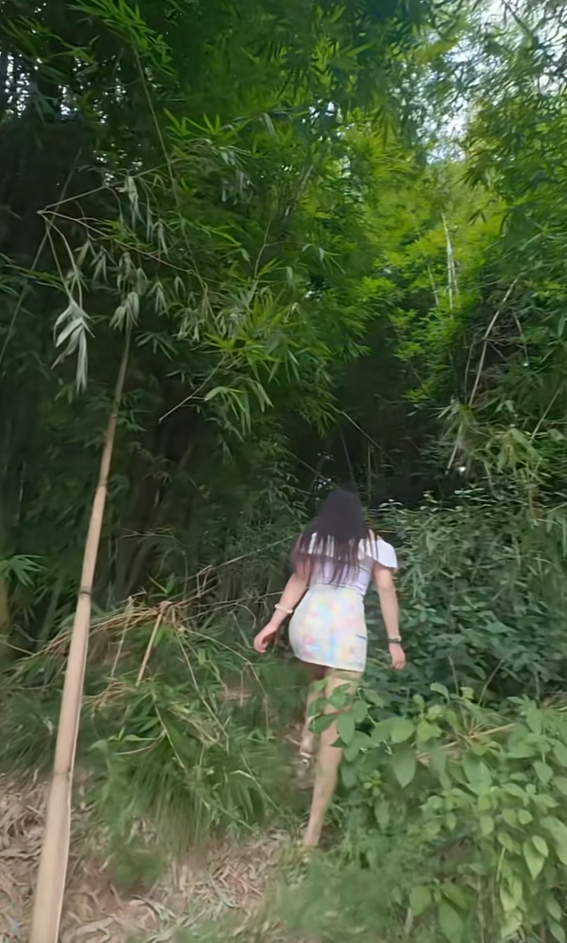 里面蚊子多，不合适吧！！！