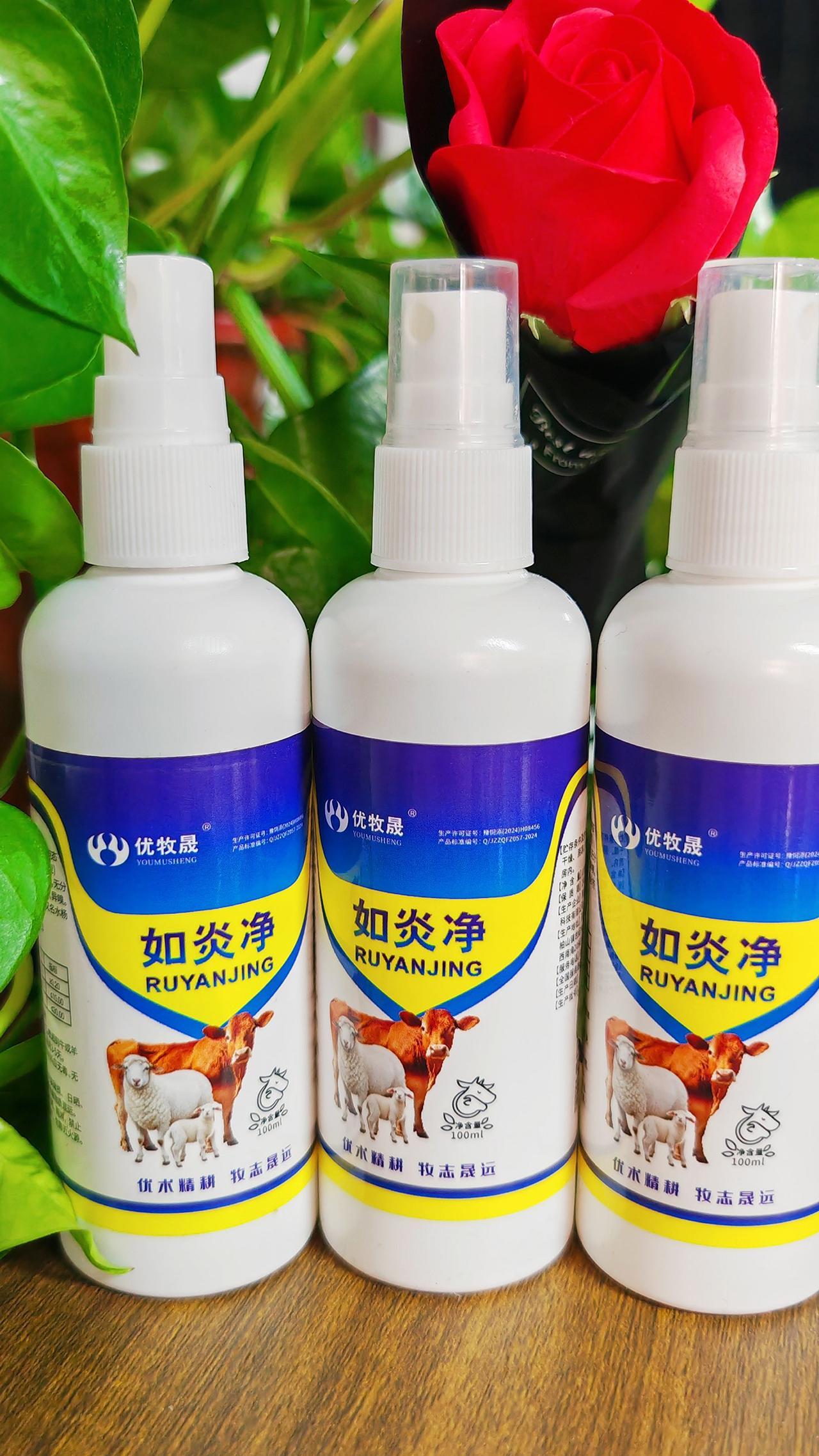 养羊人农村养羊牛羊养殖