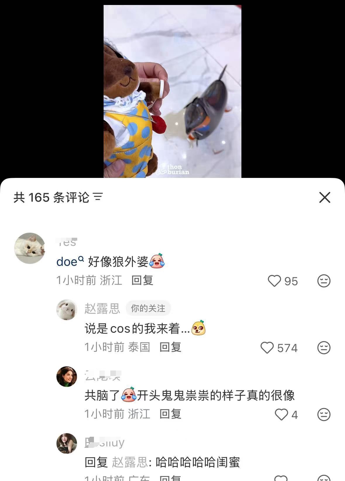 哈哈哈露儿回复好搞笑