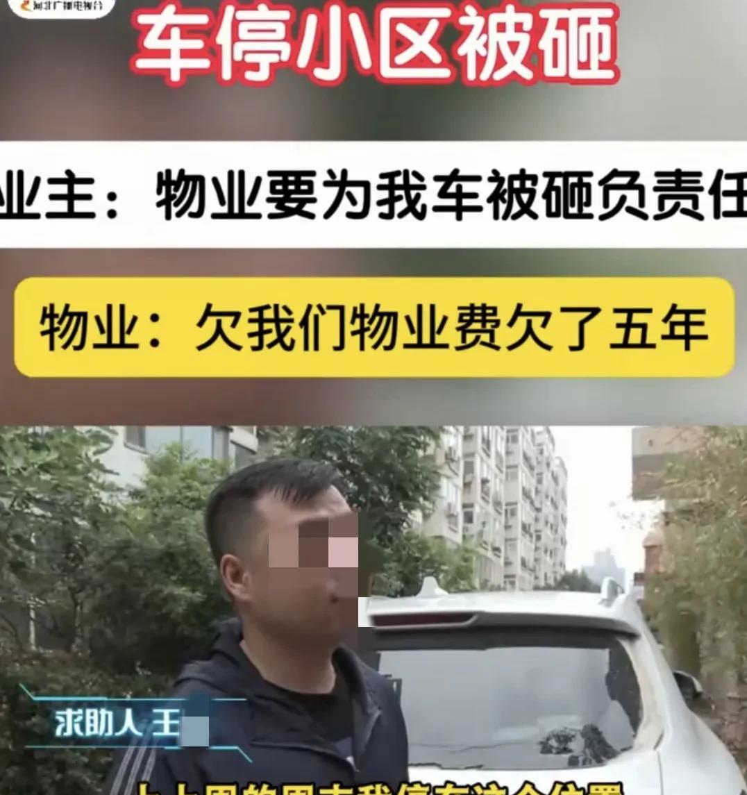 河北石家庄，男子把车停小区，不料，车后玻璃被人恶意砸个大窟窿，男子找物业赔偿，物