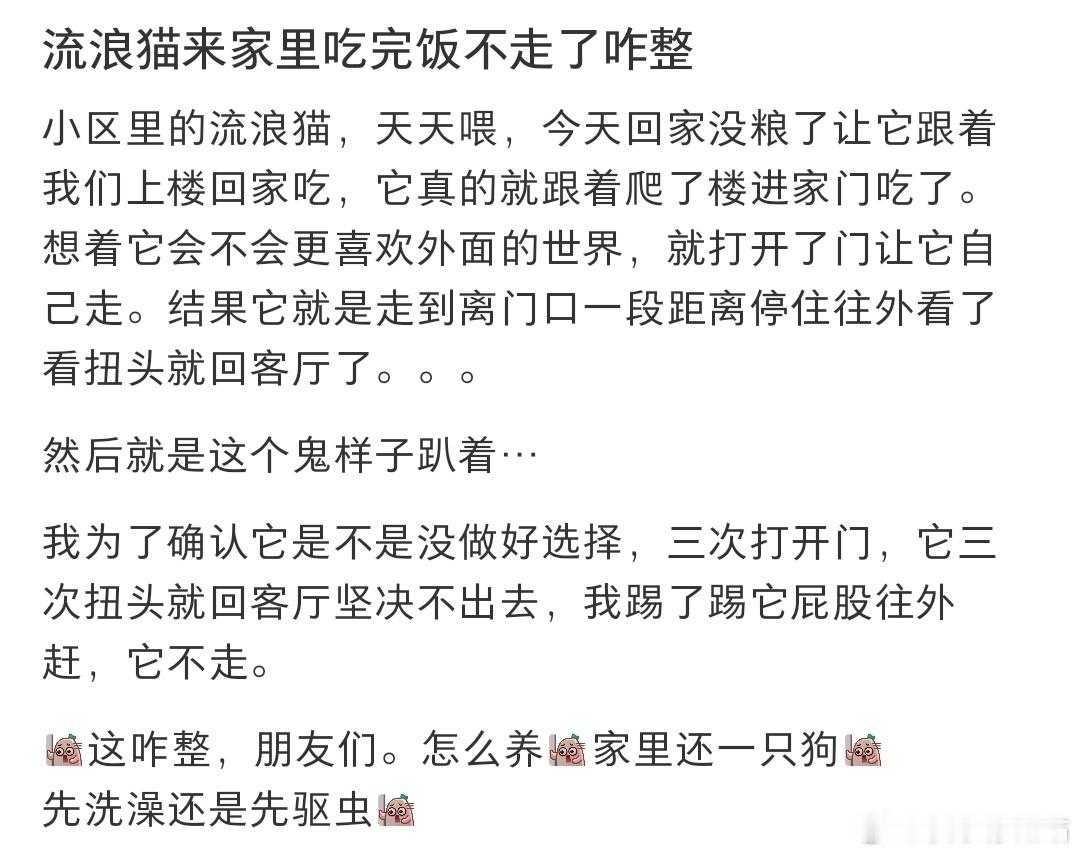 流浪猫来家里吃完饭不走了咋整​​​