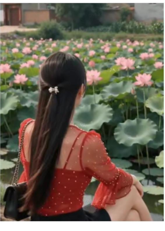 欣赏“荷花”盛夏时节天气热；找个避暑好地方；郊区二十多里路；有个荷花深水