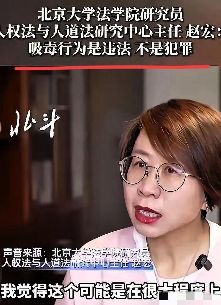 看瑞典这二十年的“法学长线局”，真得脊背发凉！所谓学术交流，根本就是场包藏祸心的