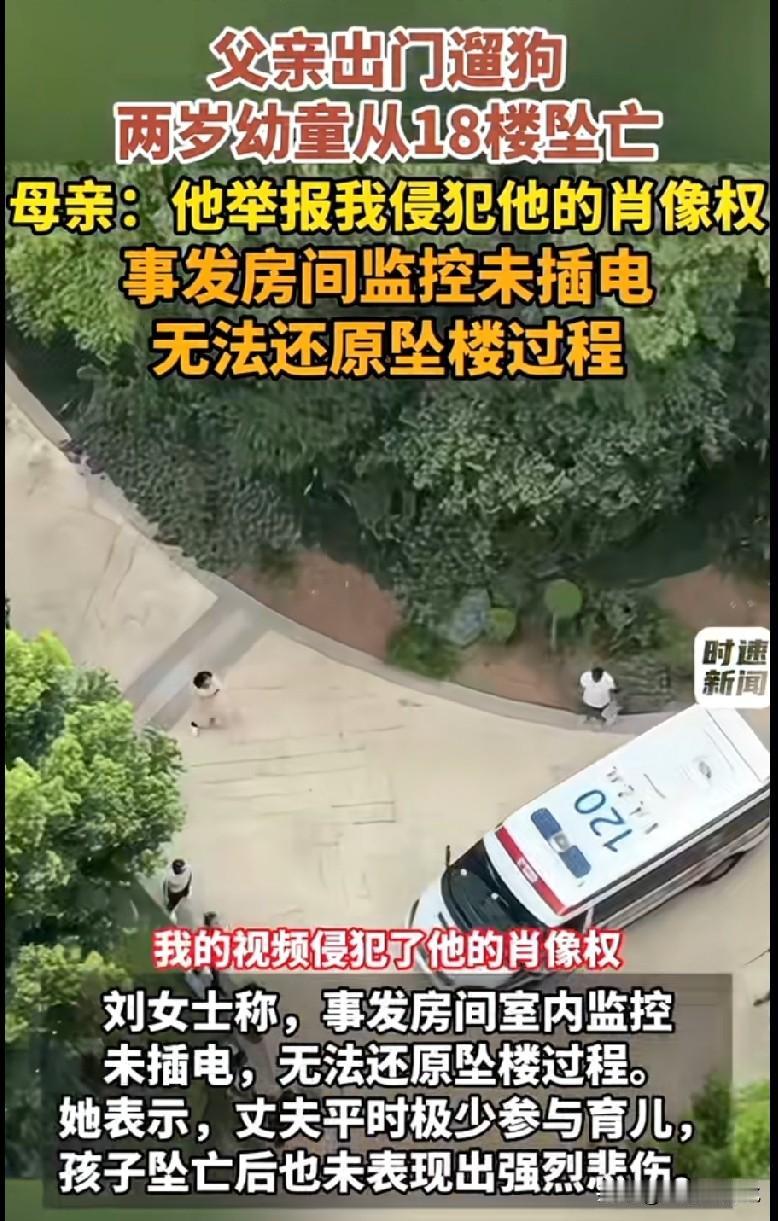 网友说，我严重怀疑父亲有问题，这么小的孩子居然去遛狗，这么巧监控没插电，刚刚
