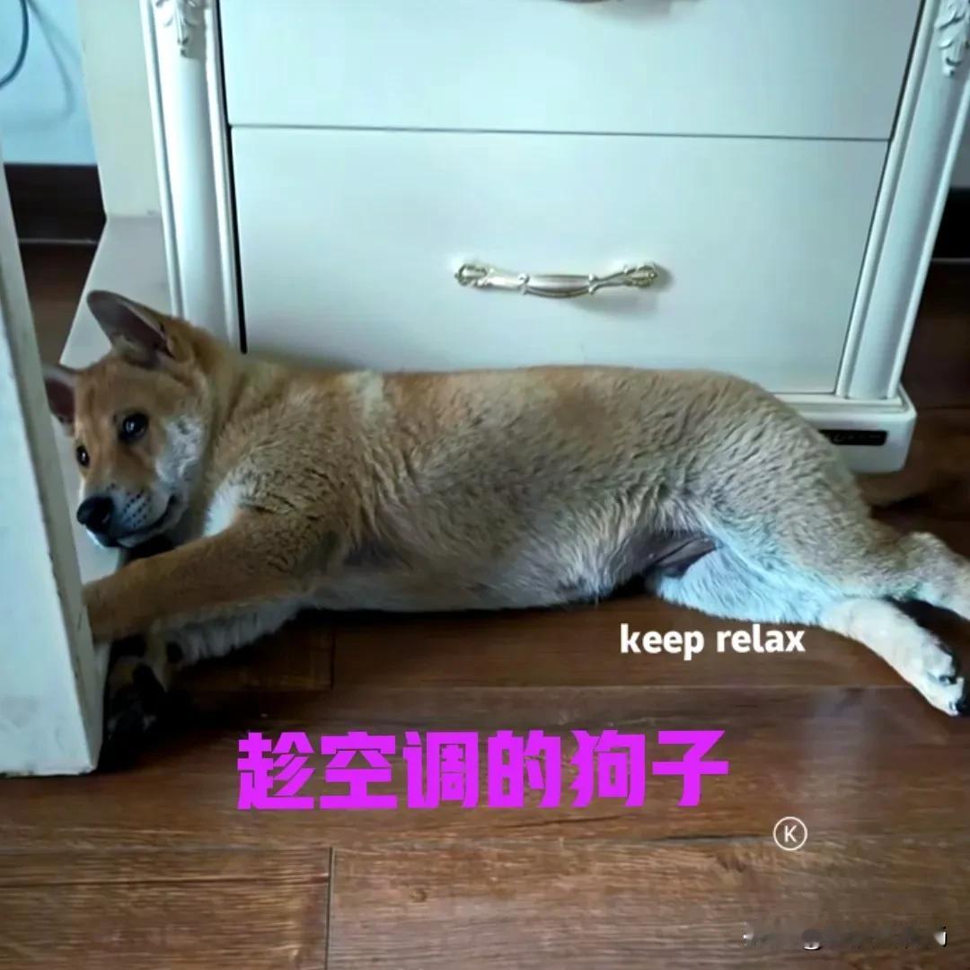 今天中午的气温达到了37度，于是把卧室的空调打开吹了一会儿，今年还是第一次开空调