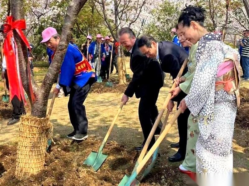 无锡那条日本风情街，一夜之间，天就变了。那些扎眼的日式招牌、灯笼、还有各种装饰