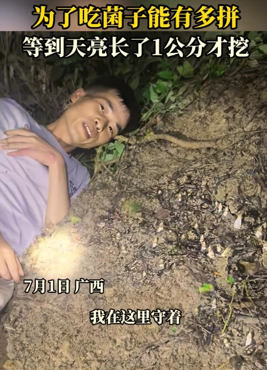 笑不活了，广西，一男子晚上和朋友进山找菌子，发现一窝鸡枞，他觉得个头太小，但又怕