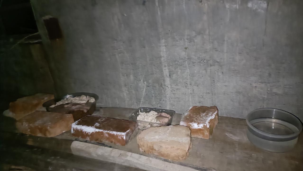 新投喂点的食盒总是从高处掉落，回收得找半天，于是我用旧砖头把食盒围了起来。走完最