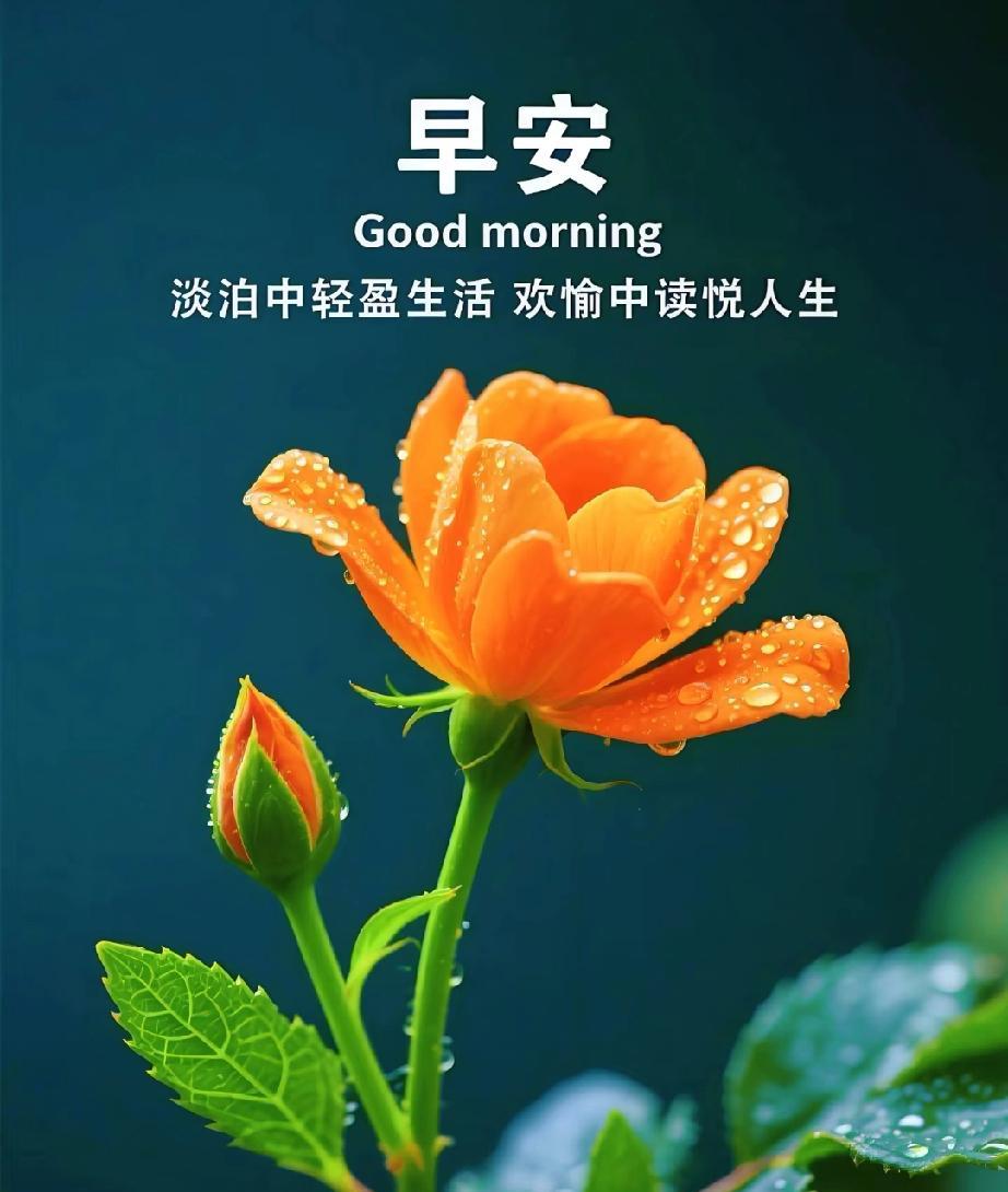 [玫瑰]早上好[玫瑰]热爱从不降温，时间和我都在往前走，坚持或许孤独，但