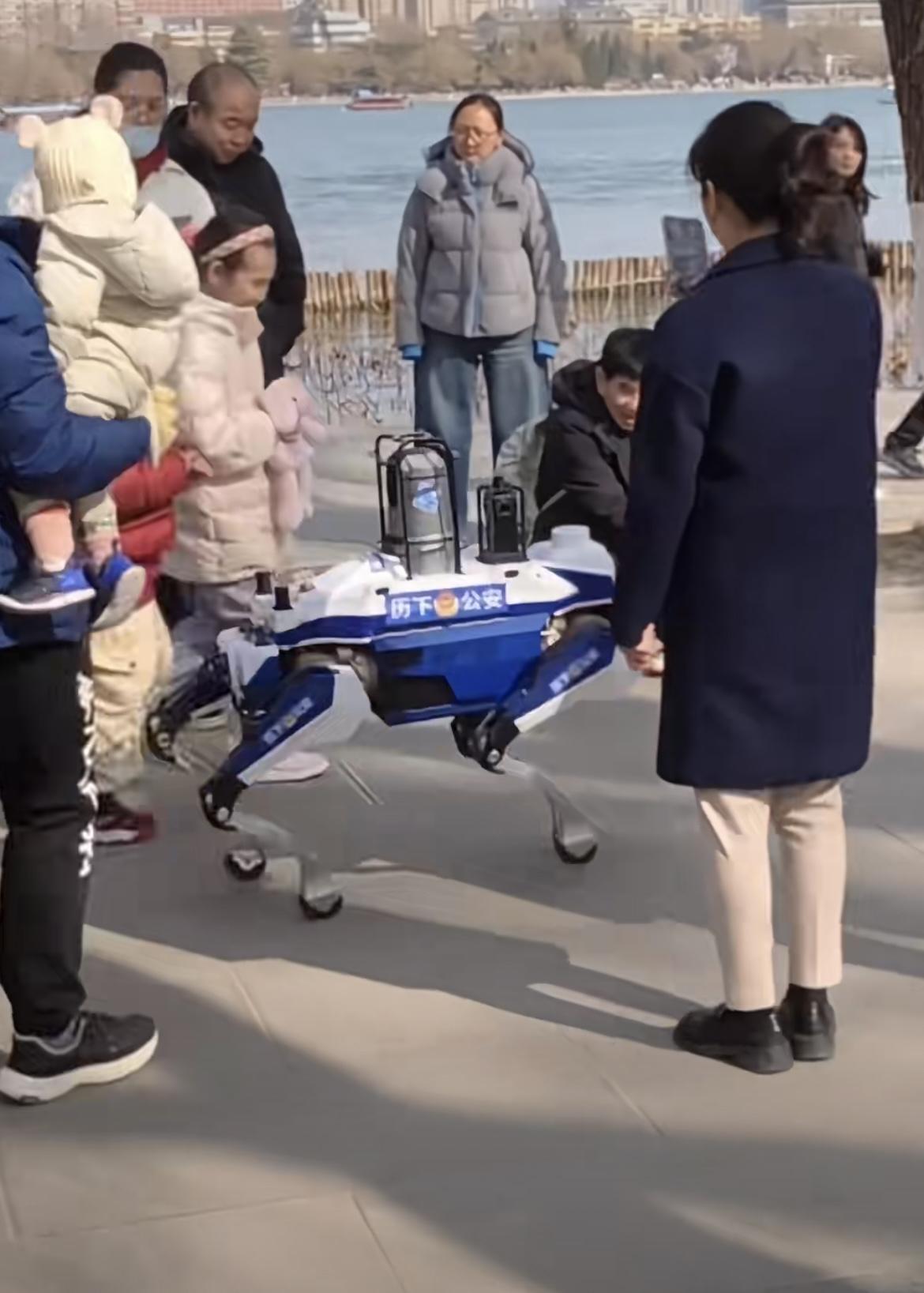 “你们围着我，都不好意思了！”山东济南，大明湖公园里的游客在围观一个稀罕物，它会