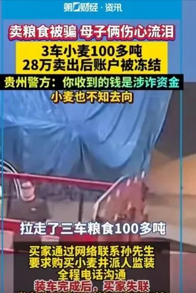 卖100吨小麦收28万,刚想还贷款卡就被冻!农民大哥:我咋就成