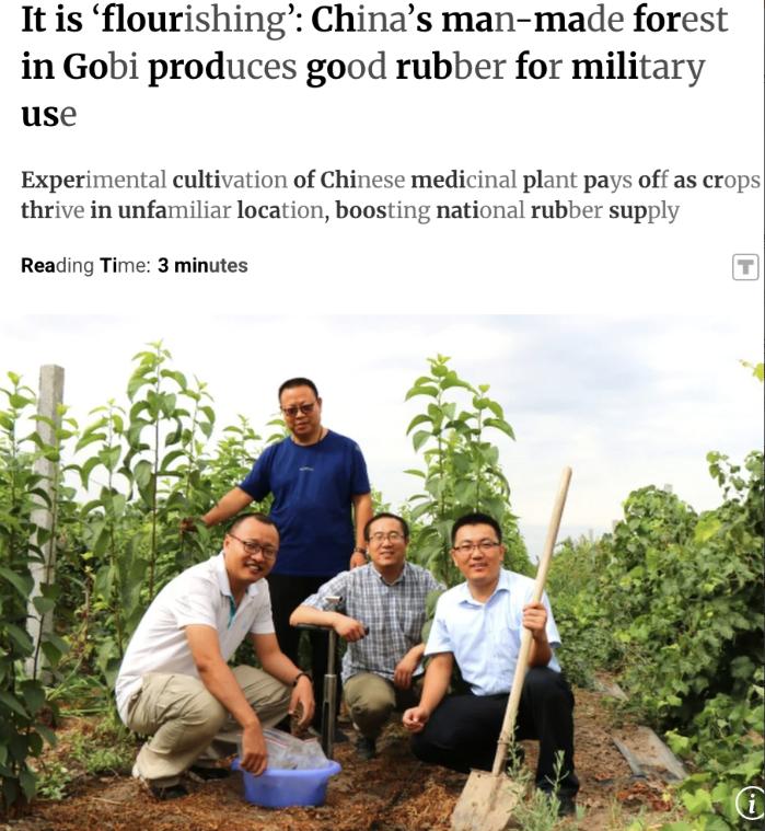 外媒惊呆了！中国在戈壁种出“军用宝藏树”，产出橡胶打破国外垄断，可用于军事用途。