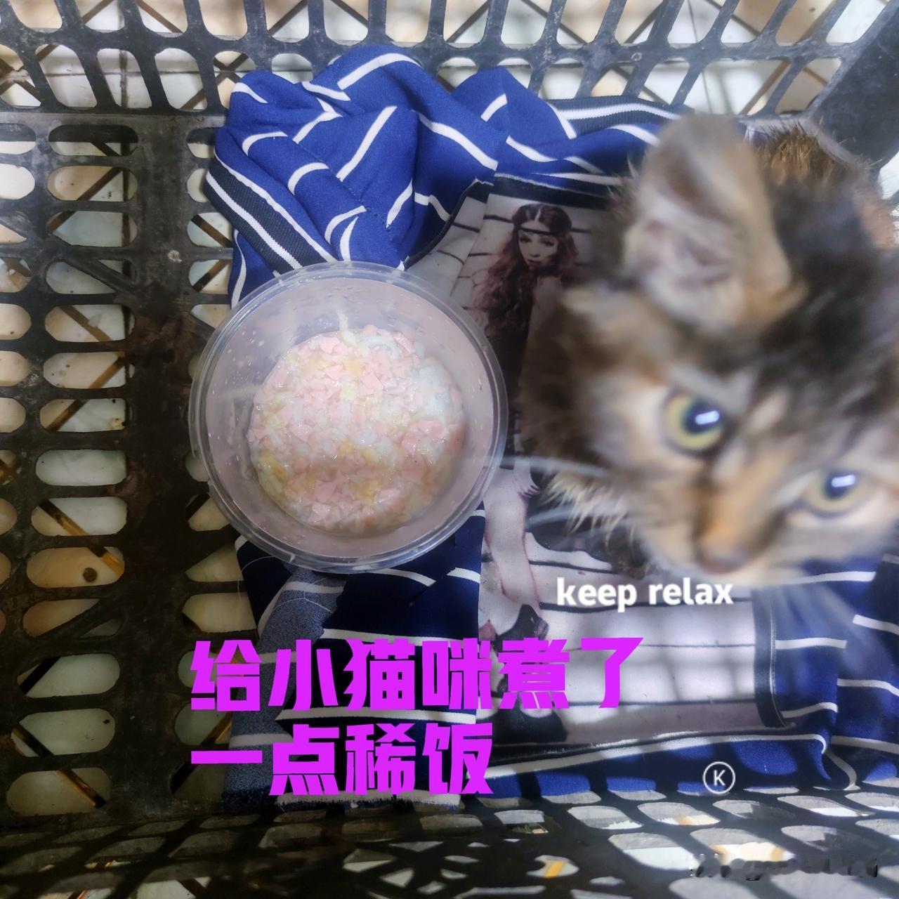 昨天是老母亲的生日,在老家陪着母亲度过了愉快的一天,返回时已经是晚上十点过了,刚