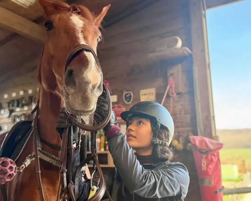 诺一怎么越来越像丁真了