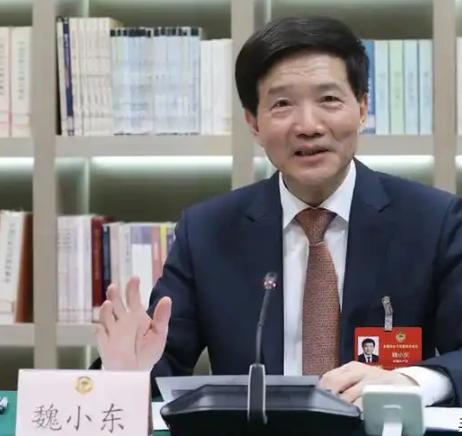 周末打虎，北京震动！魏小东被查的消息落地，很多人的第一反应是：他都65岁了，还有