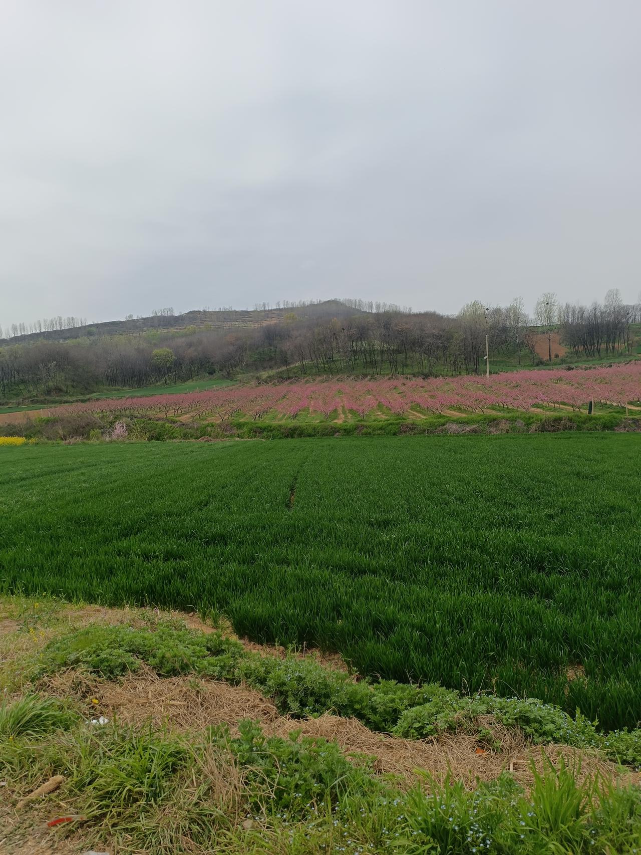 活得通透，不和别人说这些事一、不能和外人说自己的痛苦，免得别人嘲笑。二、