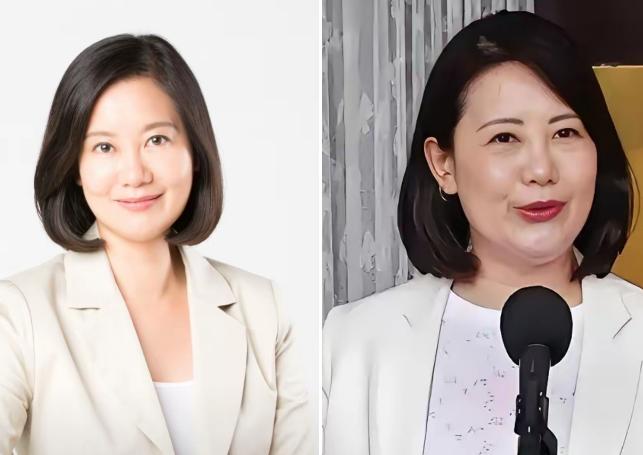 果然不出所料，被大陆称为“台独”打手帮凶的民进党籍立委吴思瑶，于今天再次表态，称