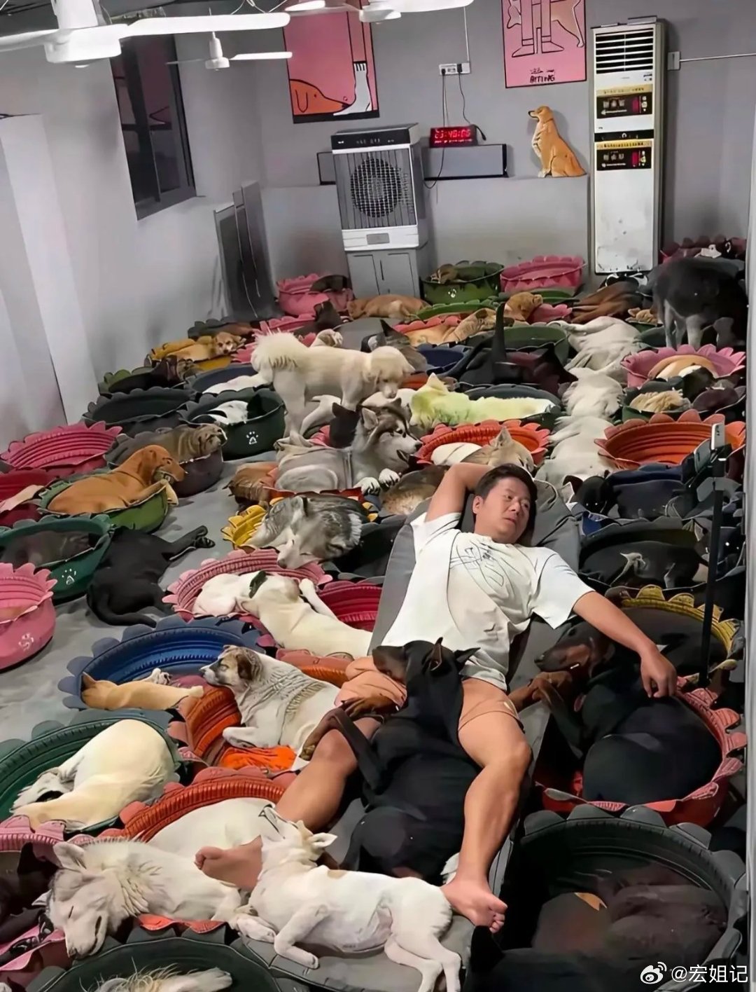 不是亿万富翁养不起吧！
