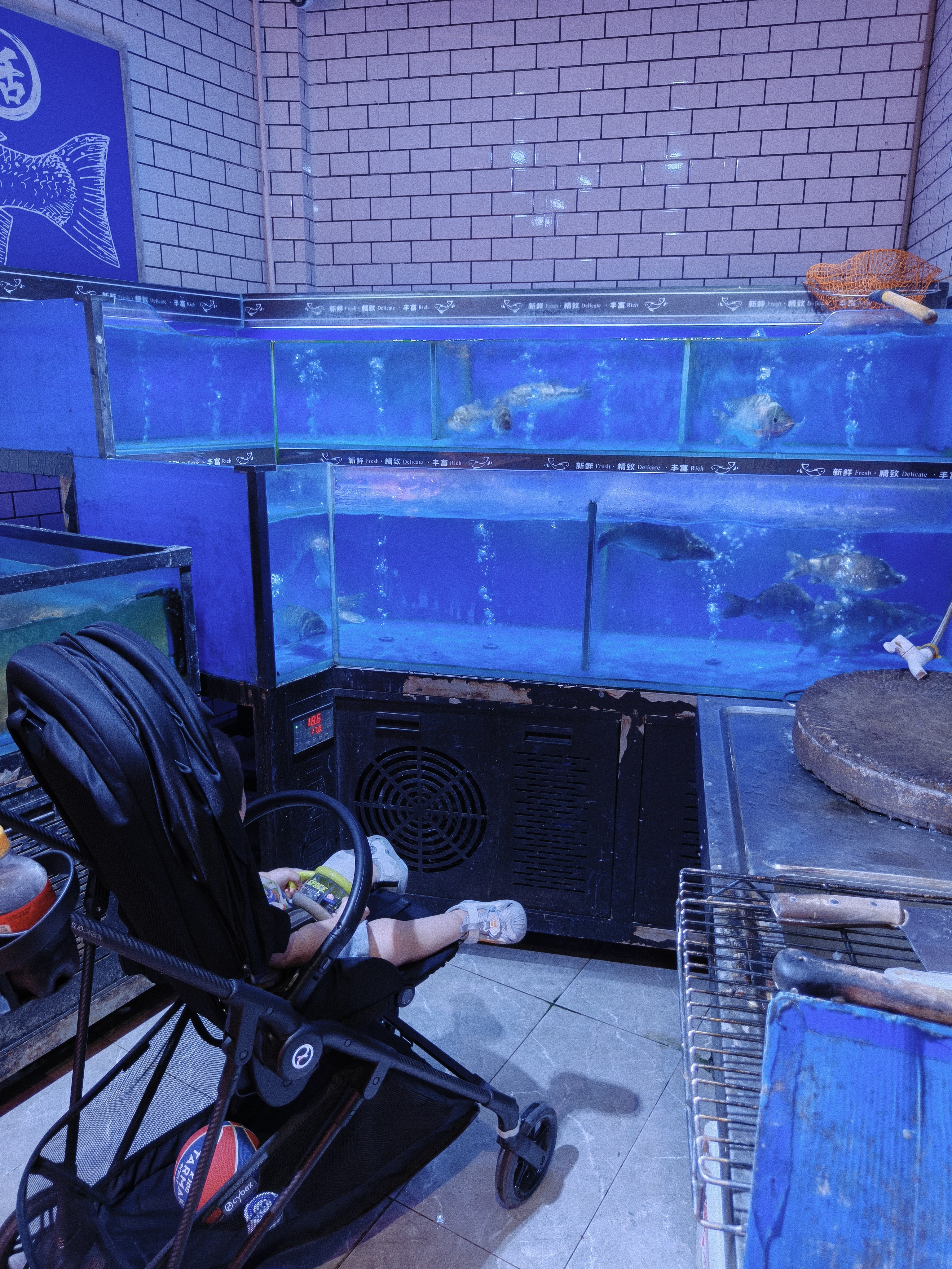 老婆说让我带大哥去水族馆，我去了