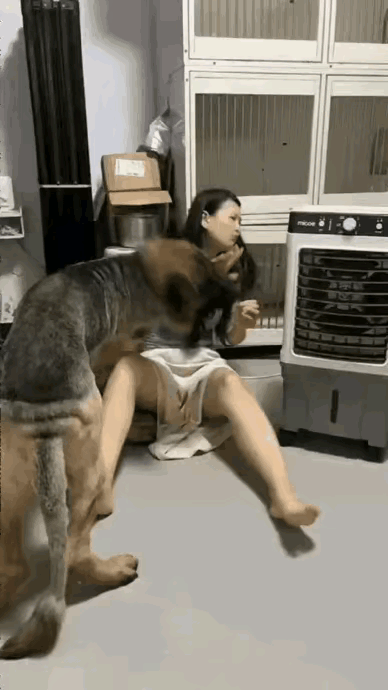 记得有这么句老话：好男不养猫，好女不养狗！现在被年轻姑娘们“推翻”了小区里