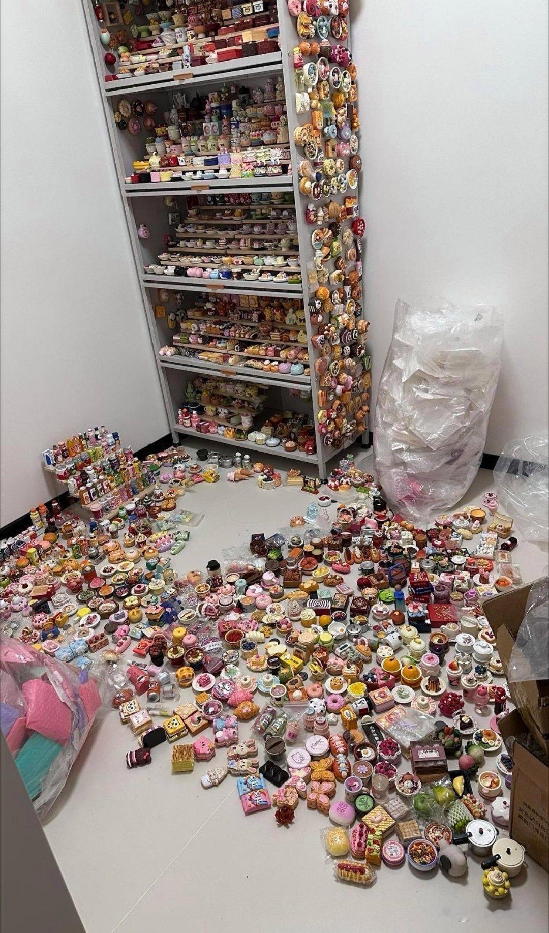 租客退房后留下的，直接看懵了，这啥呀？