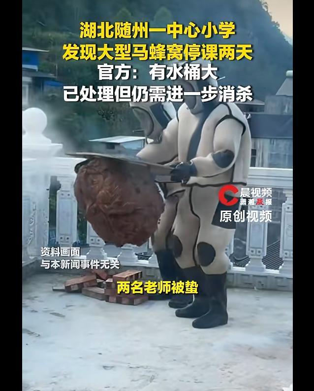 后背发凉！10月8日报道，湖北随州某小学，一名老师在校内跑步时被马蜂蜇伤，消防到