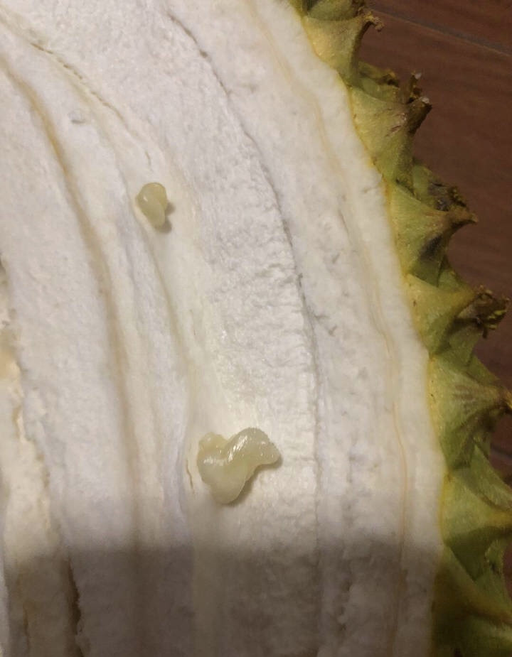 现如今开榴莲如押宝哈哈哈哈哈哈哈未免太惨了吧​​​