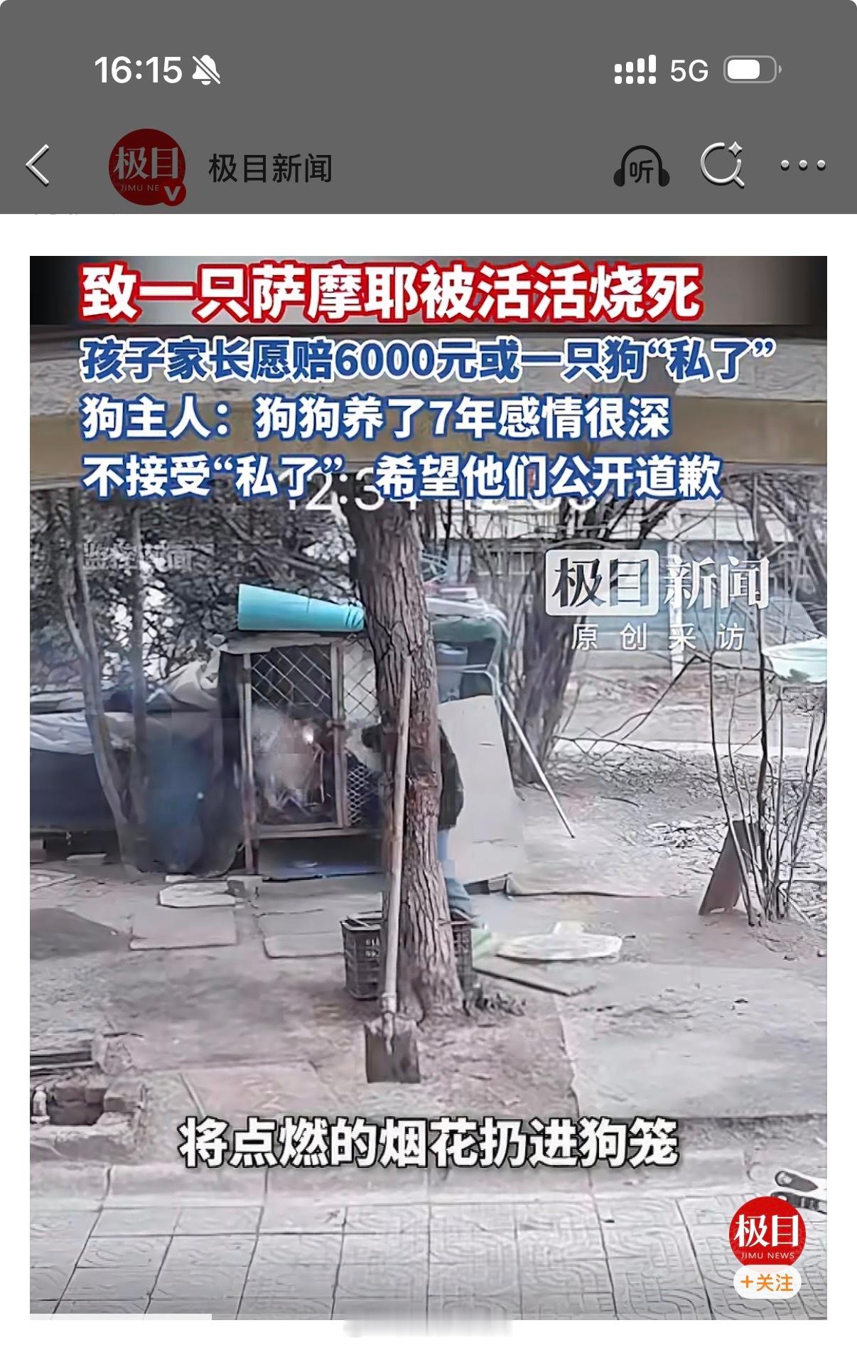 萨摩耶主人已删除此前发文整件事情惨的只有萨摩耶小旺，这俩孩子天生坏种，萨摩耶主人