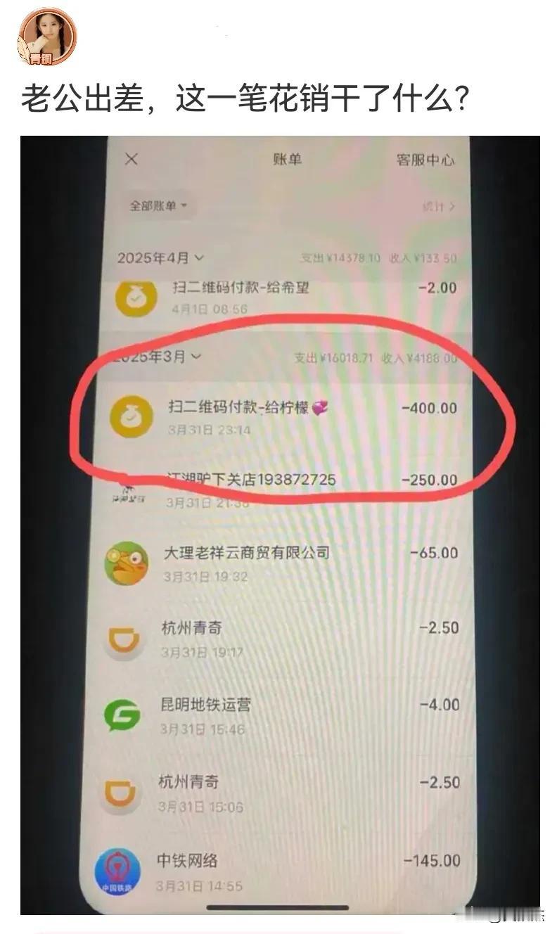 网友询问：这是她老公出差时花出去的一笔开销，你们觉得这是花什么了？