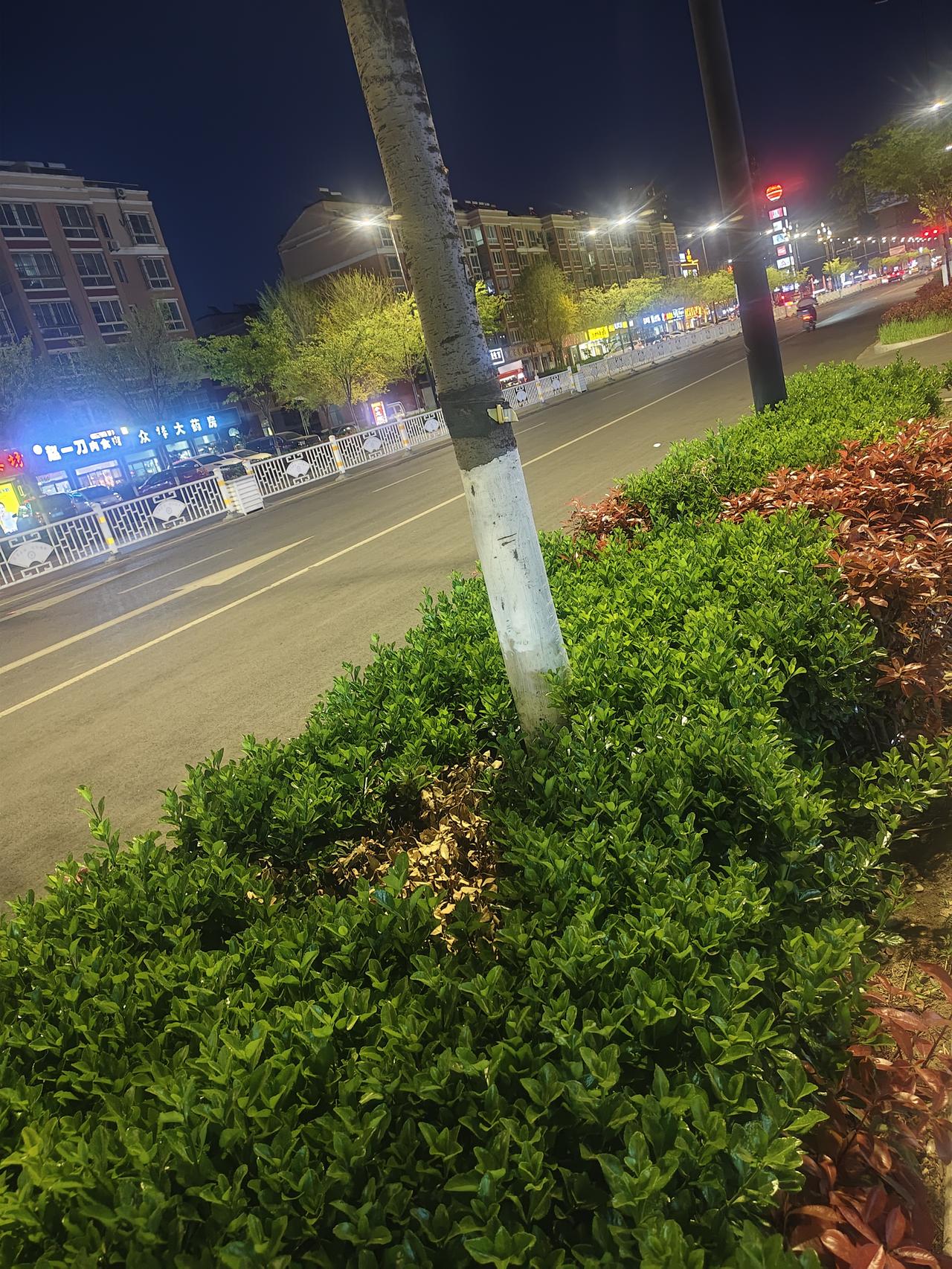 我姑姑家两个孙子，表弟说一个跟他姓，一个跟表弟媳妇姓。姑姑姑父坚决反对，说两