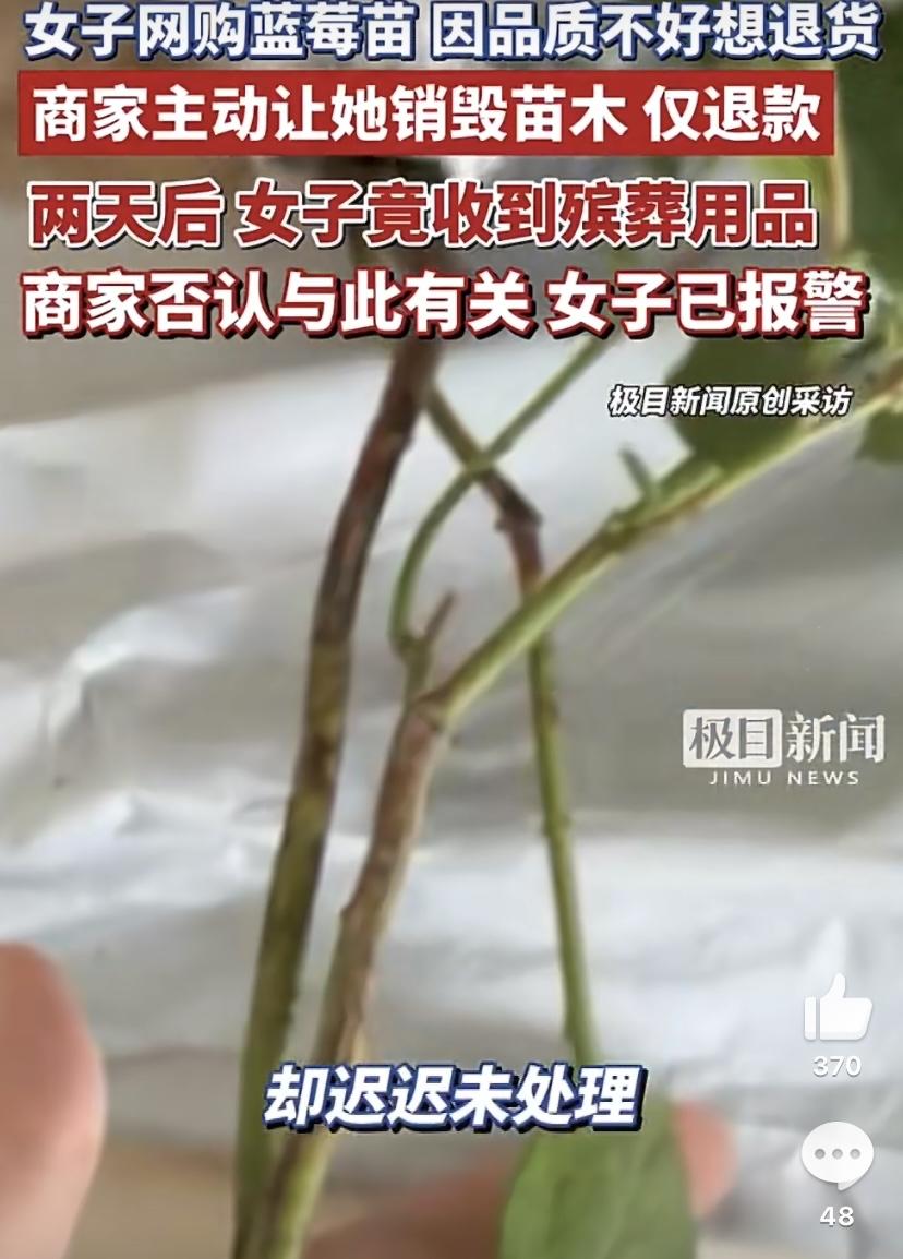 有网友在网上买蓝莓苗，本来是想着种在家里，等着结果吃果子，花的钱也不多，可收到货