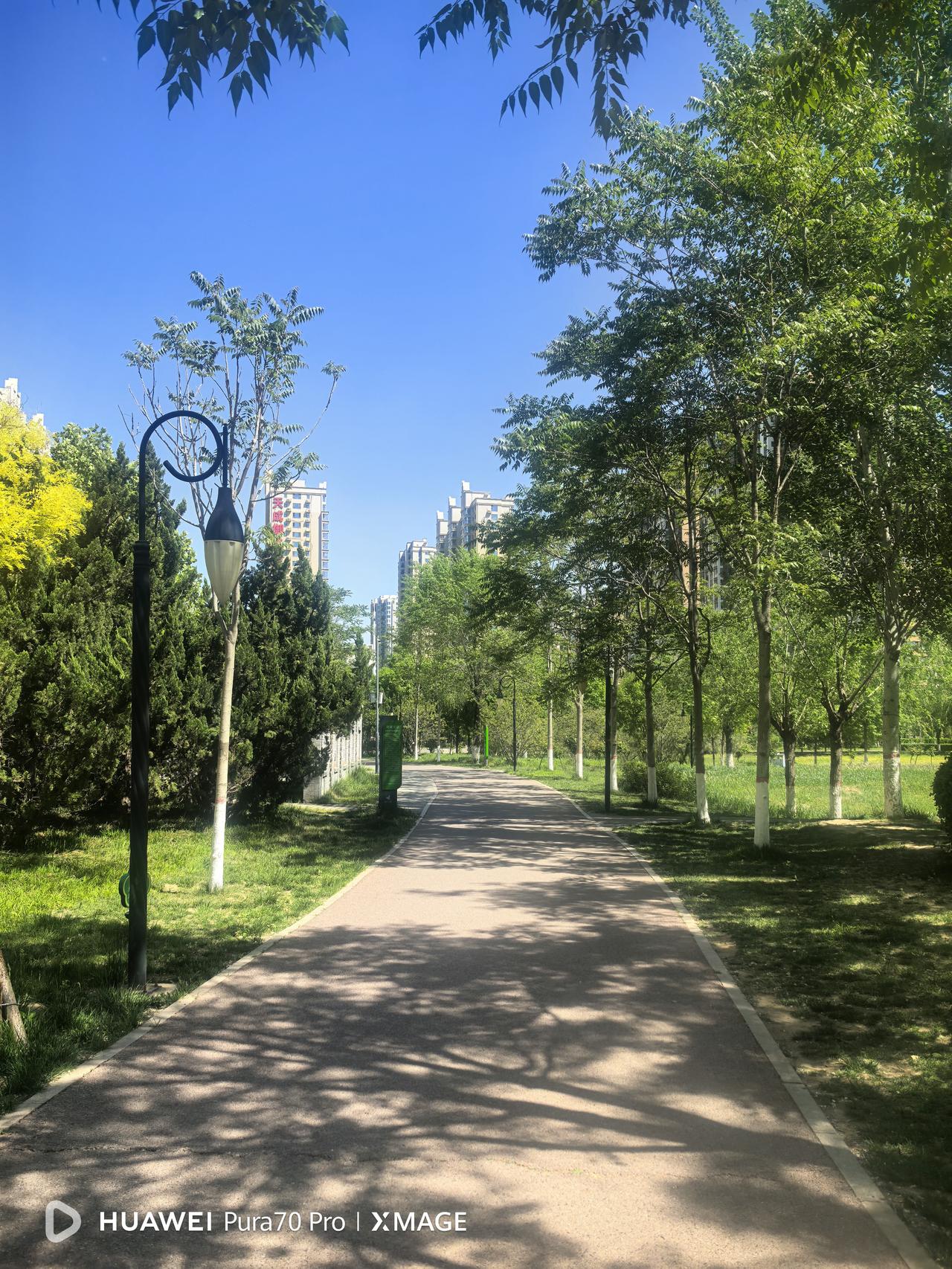 调整进食的顺序对于控制血糖非常必要。平时我们吃饭习惯于一口菜一口主食，而且汤类也