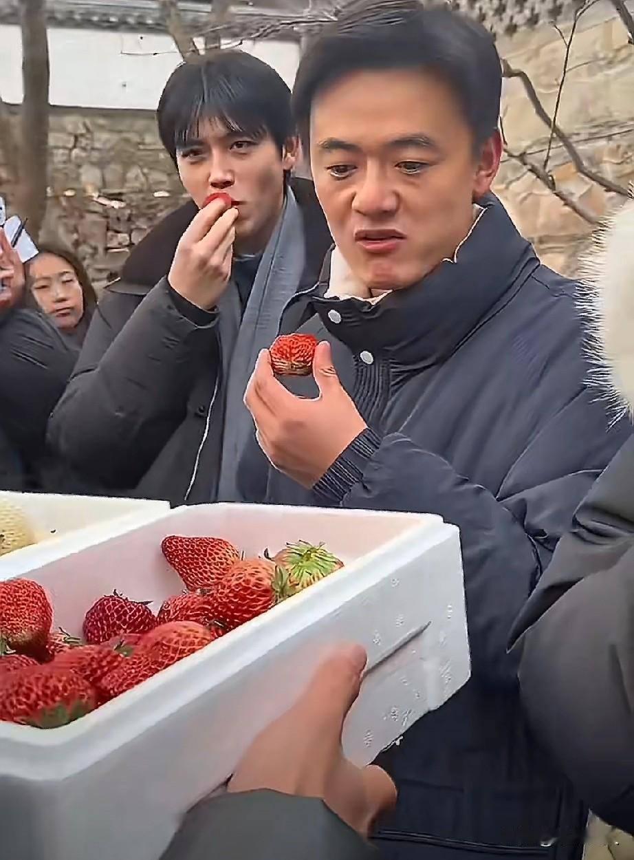 最近刷到不少路人拍的视频，李乃文和陈飞宇在丹东大孤山路边吃草莓，那场面太接地气了