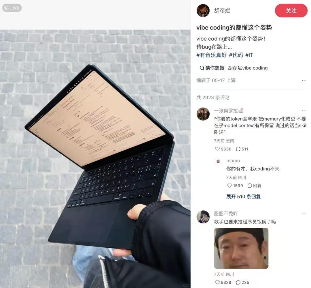 核心梗点简要解读1. VibeCoding：即氛围编程，用自然语言描述需