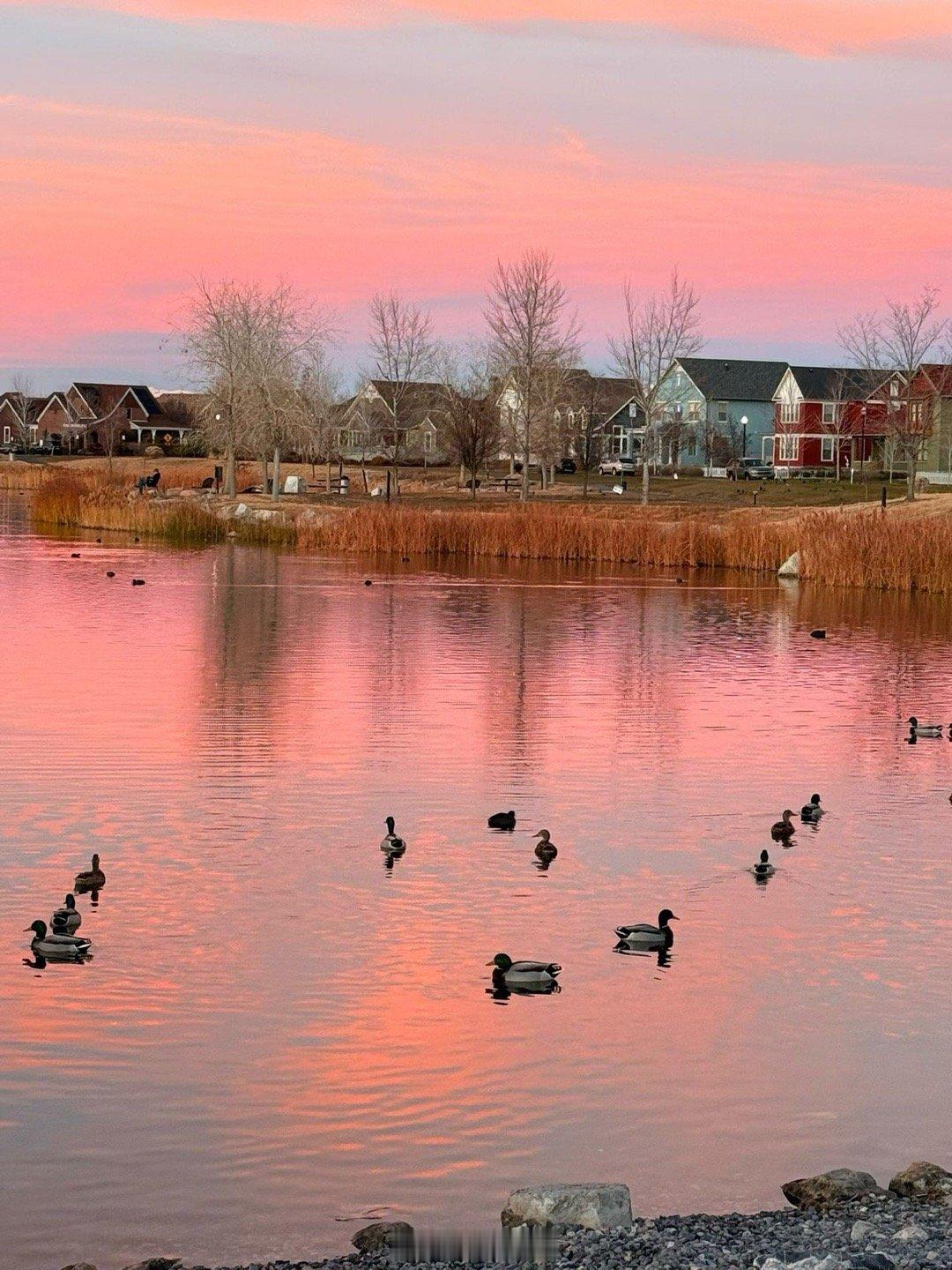 社区美景乖妈摄影