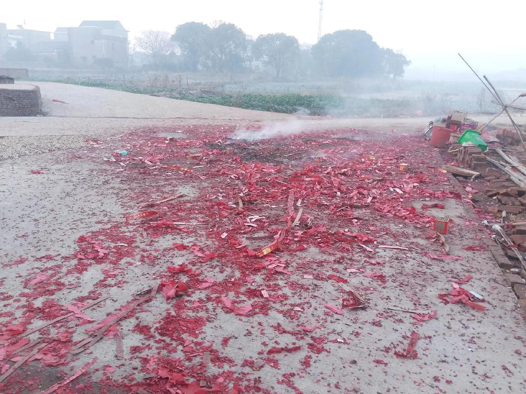 刚过完年，今天二堂弟出远门的时候和他爸，也就是我二叔大吵了一架。起因是二堂弟在广