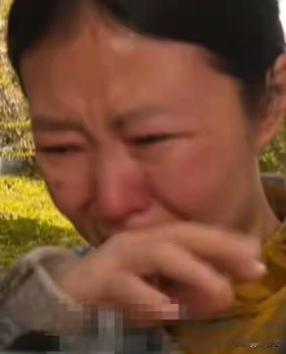 那个深夜，河南郑州一位42岁的单亲妈妈在ATM前颤抖着双手一遍遍核对转账记录。本