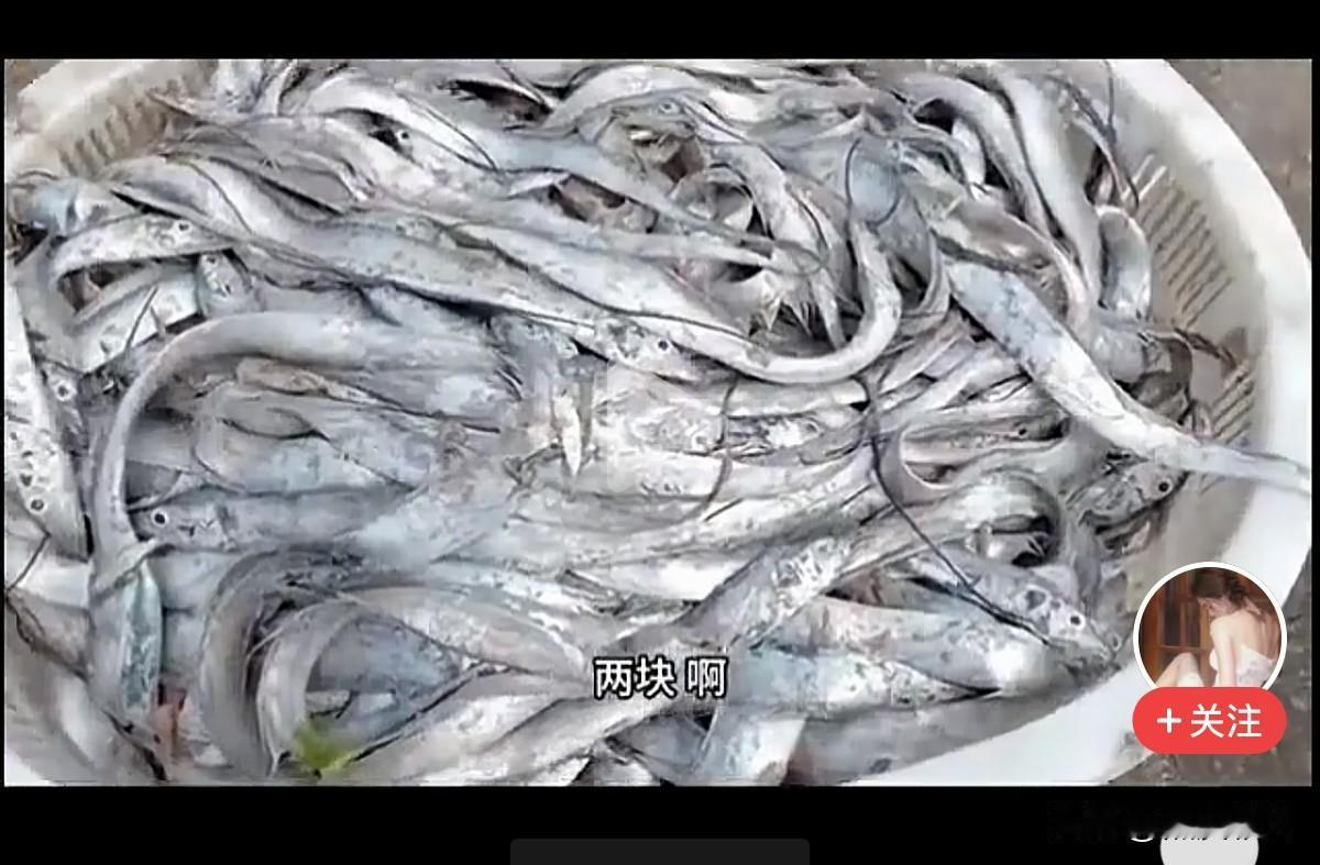 山东开海已经六天了，万船齐发一通猛捞，海里的鱼又被捞光了，昨天钓鱼船去灵山北钓鱼