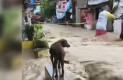 暴风雨来袭菲律宾，这次他们终于不会找我们伸手要救灾物资了吧！菲律宾防长最近在