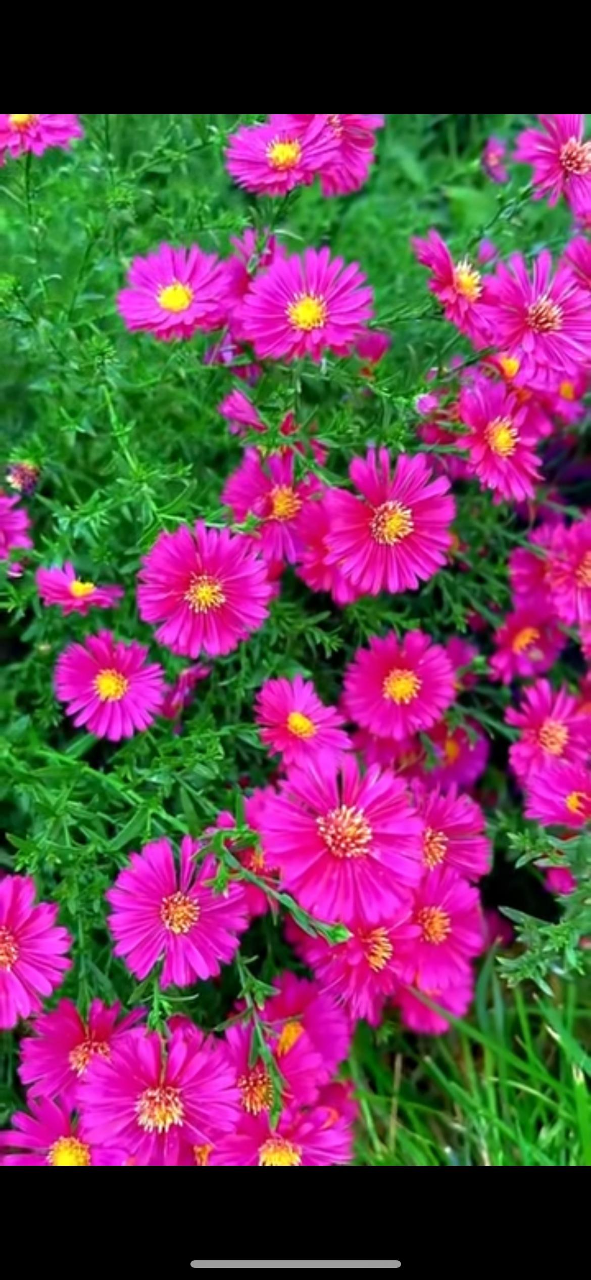 今天刚回家就听我爸妈在讨论表妹的婚事。大伙都想着怎么替她讨回公道。就因为暂时没有