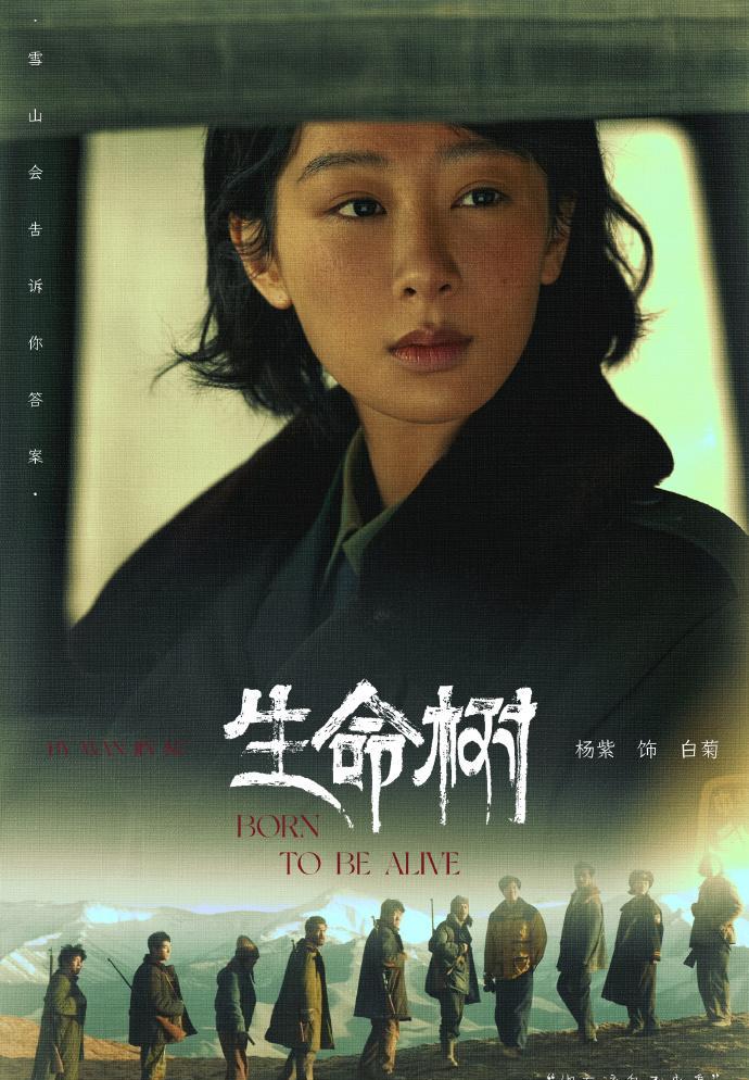 杨紫这次真挑错剧本了！主动亲完人家扭头就装无辜，这人设谁能看得下去？本来是冲