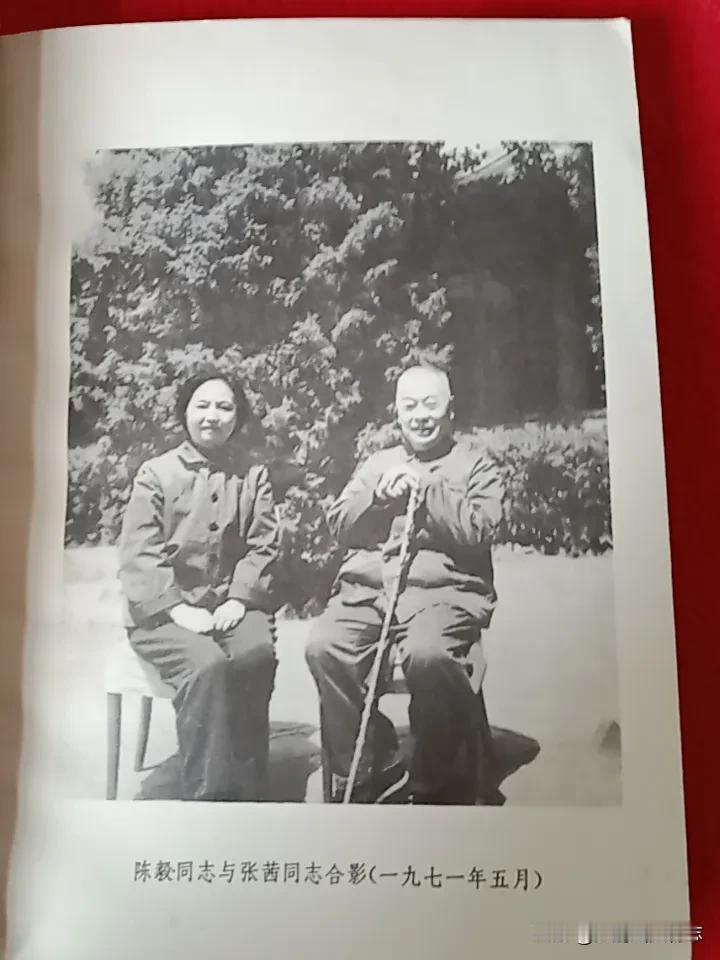 1977年，还在病中的陈毅夫人张茜，终于完成自已的心愿。随着那厚厚的《陈毅诗词》