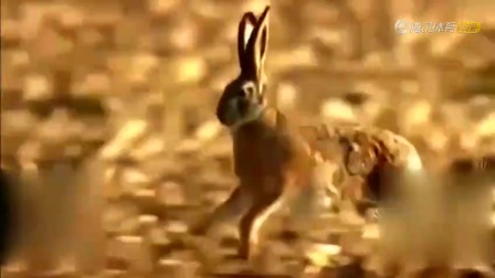 17936240052071209259.jpg?id=0