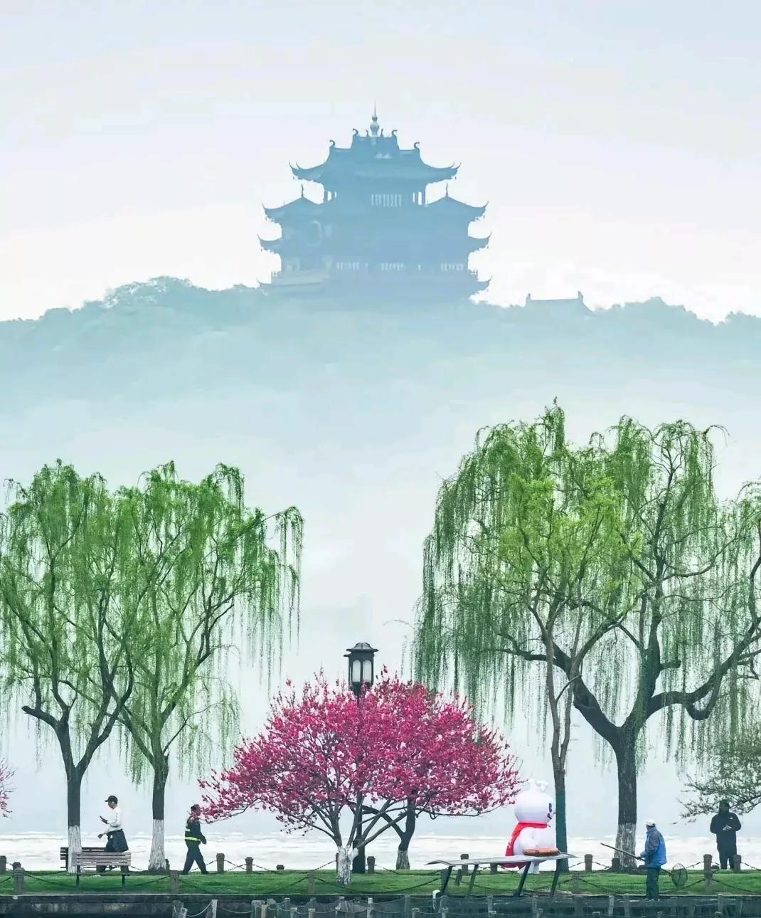 日本投降后杭州人怒砍西湖樱花！这一幕看完热血沸腾刚看完《731》再翻到这段