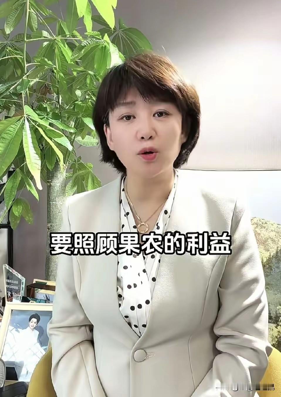 福建杨梅塌方了，种植户苦情了，根本卖不动，没人敢买！这时候，不少种植户开始对