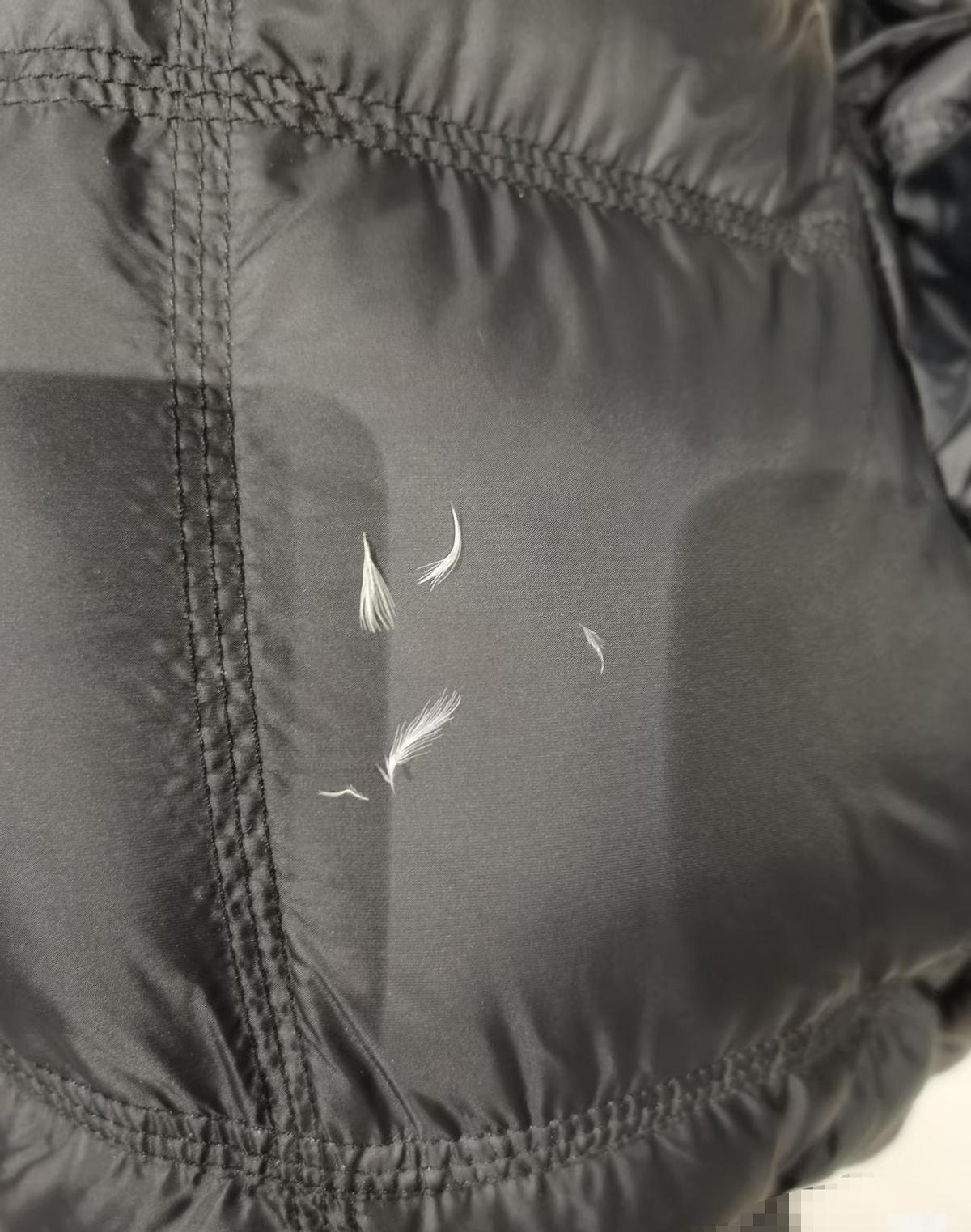 羽绒服不是奢侈品，是能穿十年的真家伙。鸡鸭的毛，没白扔，成了保暖的宝贝。波司